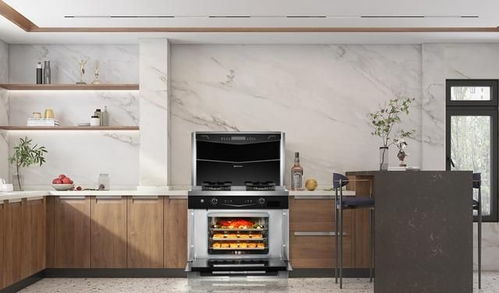 2024年集成灶销量榜解析 板川集成灶的市场表现与选购指南